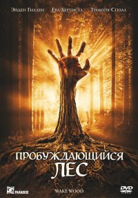 Постер Пробуждающий лес